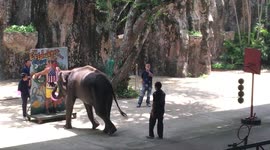 elephant aiming the balloon on a man in pattaya zoo