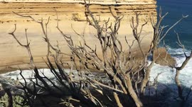 Beautiful scenery in great ocean road sea