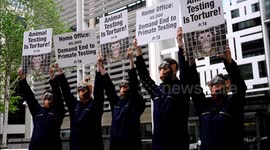 PETA,organise a petition, Monkey Pain threshold 