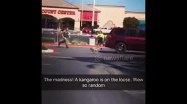 Police chase 'exotic rodent' around parking lot in Las Vegas