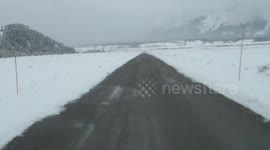 Large bluebird flock casually stand on road to avoid snow