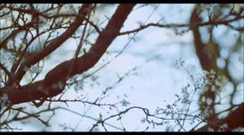 Extreme hot model and hot Dutch bicycle commercial