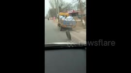 河南南阳：三马车的轮胎突然掉了