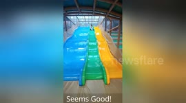 Newsflare Edit - It Will Be Fun They Said! Parenting fail