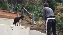 Anakin Heading Ball 2