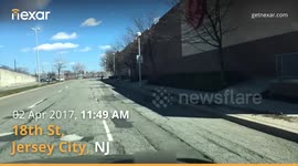 Goose crosses 18th St in Jersey City, NY