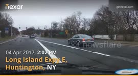 Geese crossing on Long Island Expy in Huntington, NY
