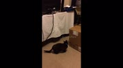 temp