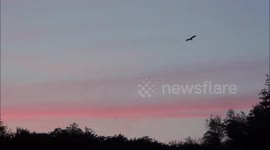 The plague of mosquitoes in the Netherlands