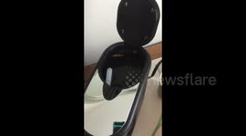 Man finds cockroach in coffee maker after drinking a cup!