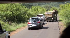 Elephant Charging at Range Rover