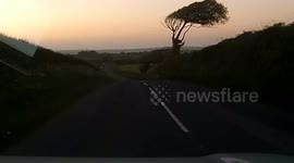 Dash Cam Near miss with a deer running across the road