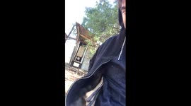 Baby roo decided to go for a nap in hoody