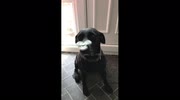 temp