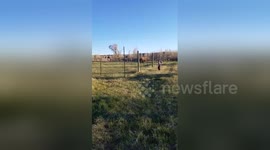 Newsflare Edit - Only In Wyoming!!!