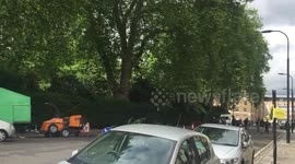 Trees carers having fun in central London park
