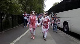 The London Anti Bullfighting Protest In Solidarity with Madrid