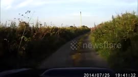 Donegal traffic jam.