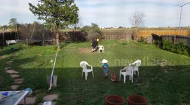 Grandpa shows grandson how to ride a stick pony