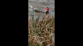 Lady throws dog in Lake Erie in may.