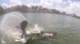 Mom's manatee surprise 