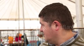 Devon County Show 2017 - Show Pidgeons