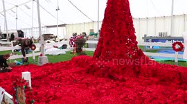 Devon County Show 2017 - Poppy Making