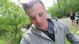 Tree Falls Next To Us - 80MPH WINDS ON HOLIDAY