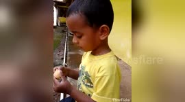 Newsflare Edit - Comedy