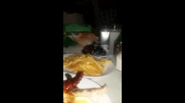 Are you going to eat all of that?