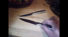 Magnetic Knives