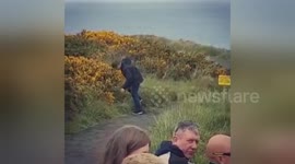 Man faceplants into bush he was urinating on