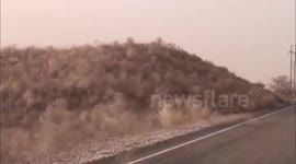 Plague of tumbleweeds hits western USA
