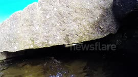 Drake's Leat, also known as Plymouth Leat, was a watercourse constructed in the late 16th century to tap the River Meavy on Dartmoor, England in order to supply Plymouth with water. It was one of the first municipal water supplies in the country