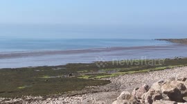 Detenation of Artillery Shell at Whitehaven