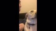 temp