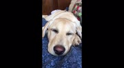 temp