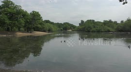 Hollow Pond at Leytonstone, London, UK