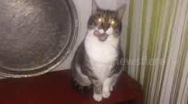 Mimi posing for a camera