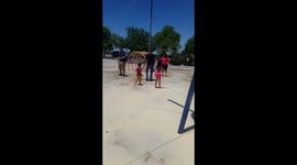 Ellie Bear loves to be wet and she really have fun!