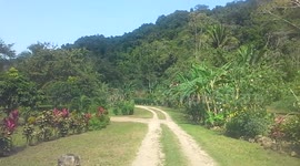 Traveling through the Cayo district of Belize