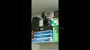 temp