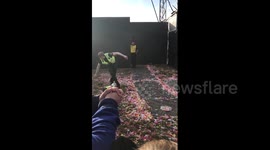 Paramedic steals the show at Radio 1's Big Weekend