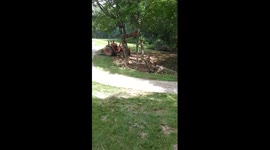 Tree wins against operator