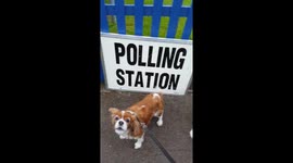 Merry and Sparkles go to the Polling Station