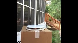 Crappy Political Situation