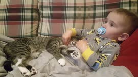 Cool Cat -baby plays with cat's whiskers