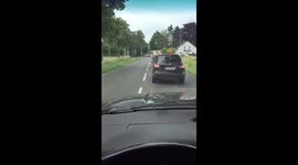 Mentally ill man jumps on car