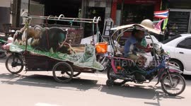 Crazy vehicles on Thailand's main roads