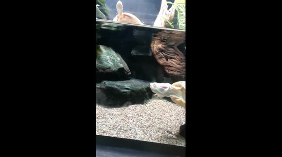 What the heck is he doing?